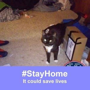 Meet your Posher, Peter